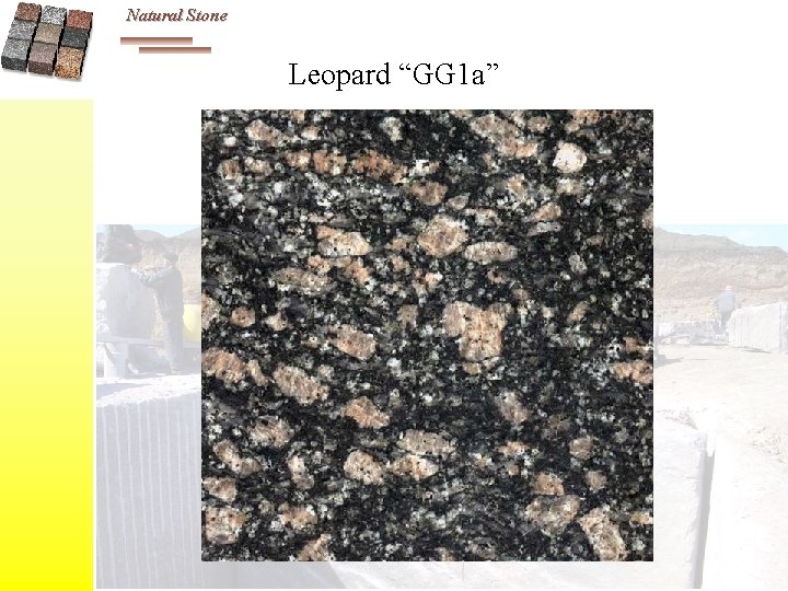 Natural Stone Leopard “GG 1 a” 