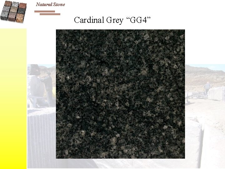 Natural Stone Cardinal Grey “GG 4” 