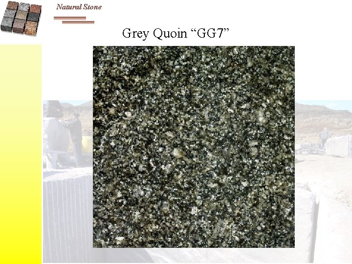 Natural Stone Grey Quoin “GG 7” 