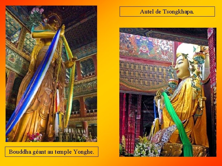 Autel de Tsongkhapa. Bouddha géant au temple Yonghe. 