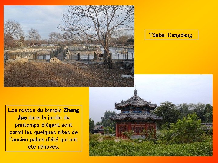 Tântân Dangdang. Les restes du temple Zheng Jue dans le jardin du printemps élégant