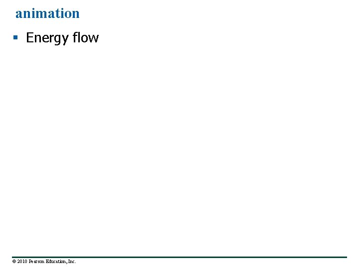 animation § Energy flow © 2010 Pearson Education, Inc. 