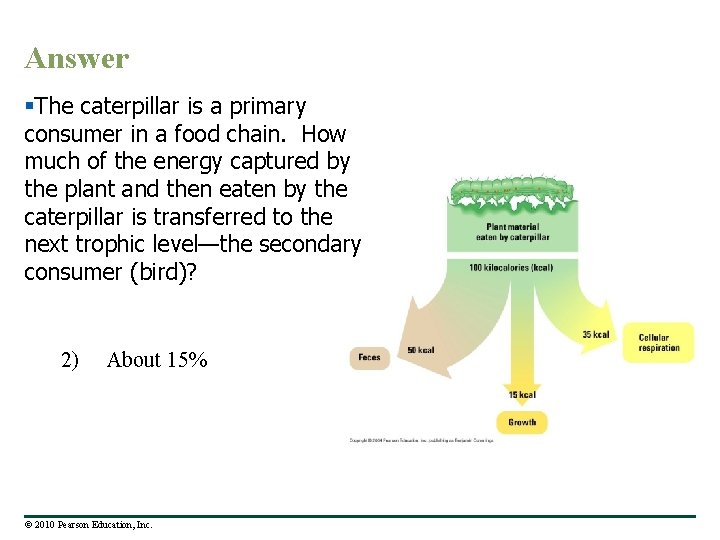 Answer §The caterpillar is a primary consumer in a food chain. How much of