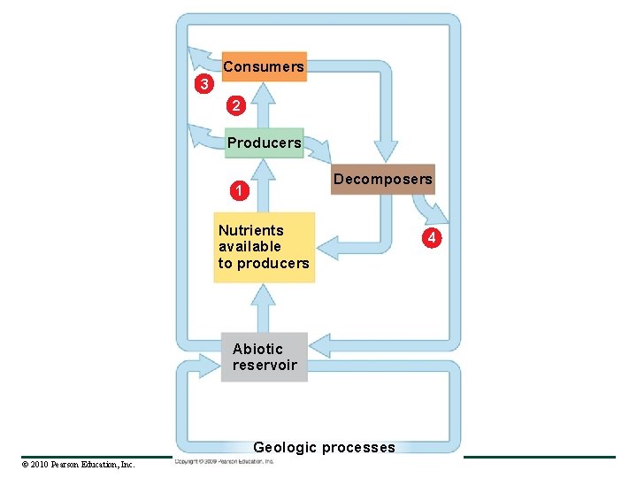 Consumers 3 2 Producers Decomposers 1 Nutrients available to producers Abiotic reservoir Geologic processes