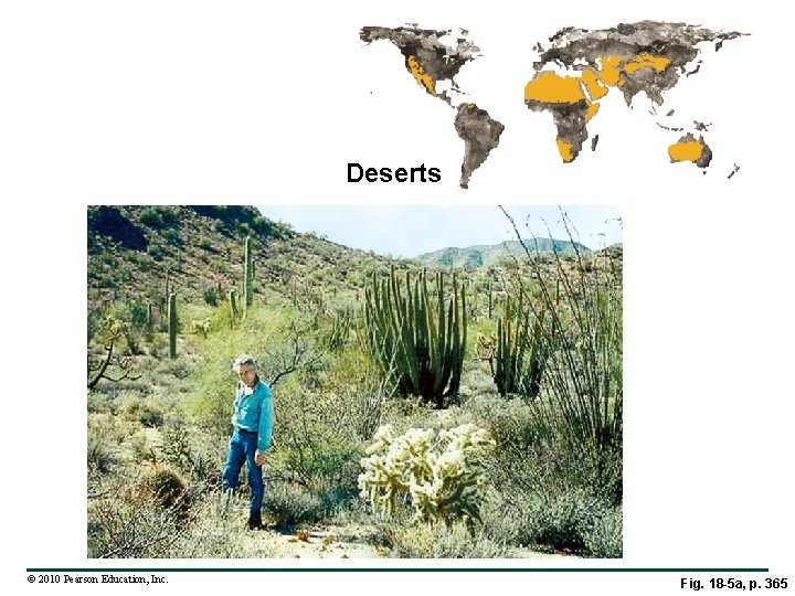 Deserts © 2010 Pearson Education, Inc. Fig. 18 -5 a, p. 365 