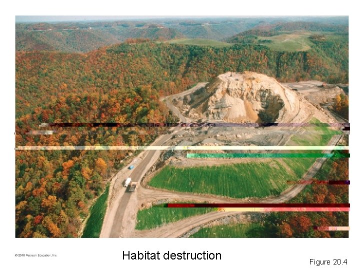 Habitat destruction Figure 20. 4 