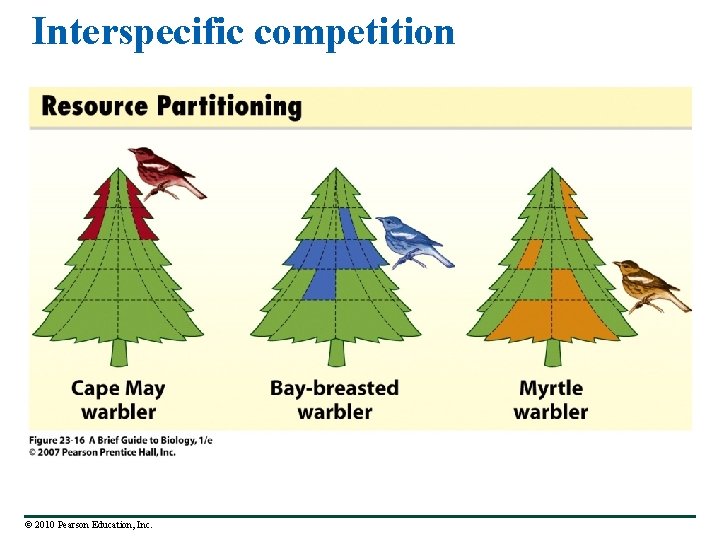 Interspecific competition © 2010 Pearson Education, Inc. 