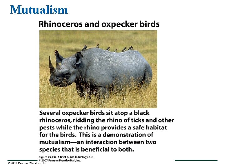 Mutualism © 2010 Pearson Education, Inc. 