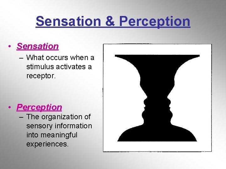 Sensation & Perception • Sensation – What occurs when a stimulus activates a receptor.