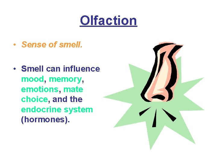 Olfaction • Sense of smell. • Smell can influence mood, memory, emotions, mate choice,