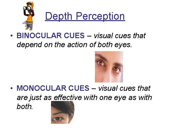 Depth Perception • BINOCULAR CUES – visual cues that depend on the action of