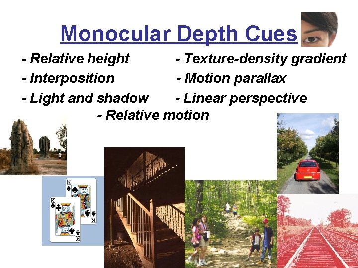 Monocular Depth Cues - Relative height - Texture-density gradient - Interposition - Motion parallax