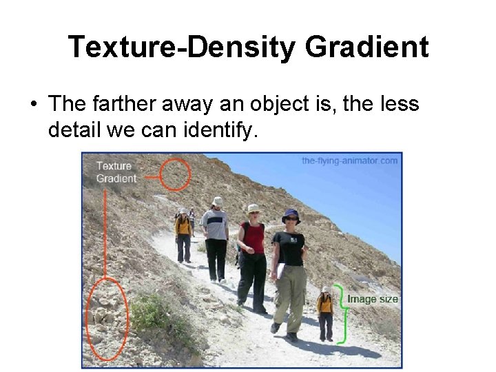 Texture-Density Gradient • The farther away an object is, the less detail we can