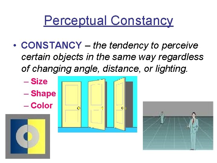 Perceptual Constancy • CONSTANCY – the tendency to perceive certain objects in the same