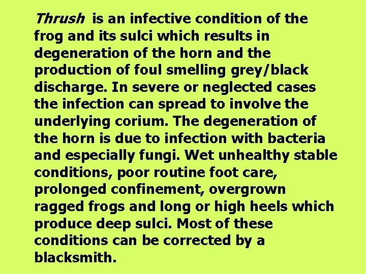 Thrush is an infective condition of the frog and its sulci which results in