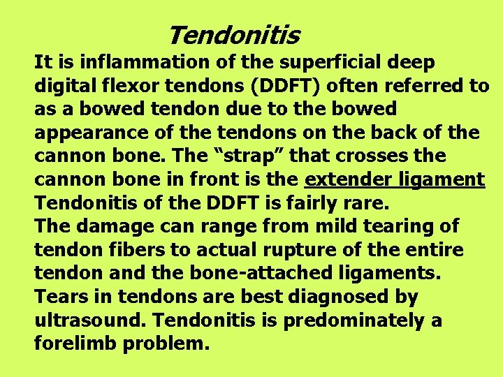 Tendonitis It is inflammation of the superficial deep digital flexor tendons (DDFT) often referred