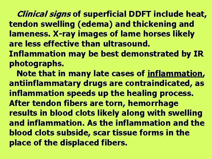 Clinical signs of superficial DDFT include heat, tendon swelling (edema) and thickening and lameness.