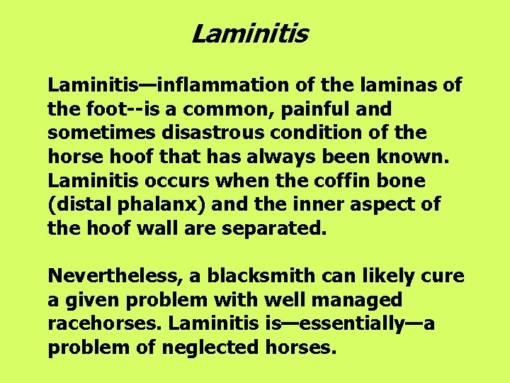 Laminitis—inflammation of the laminas of the foot--is a common, painful and sometimes disastrous condition