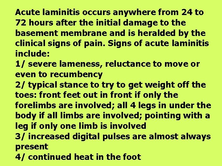 Acute laminitis occurs anywhere from 24 to 72 hours after the initial damage to