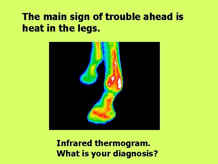 The main sign of trouble ahead is heat in the legs. Infrared thermogram. What