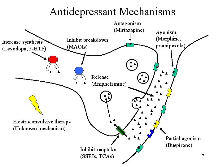 Antidepressant Mechanisms Antagonism (Mirtazapine) Increase synthesis (Levodopa, 5 -HTP) Inhibit breakdown (MAOIs) Agonism (Morphine,