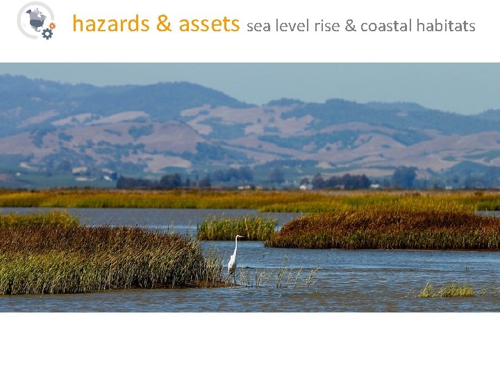 hazards & assets sea level rise & coastal habitats 
