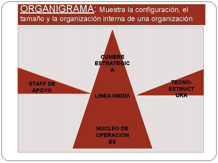 ORGANIGRAMA: Muestra la configuración, el tamaño y la organización interna de una organización CUMBRE