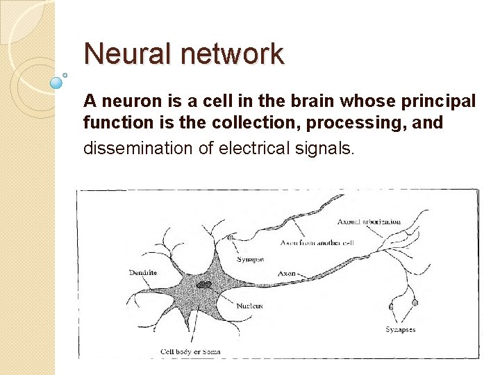 Neural network A neuron is a cell in the brain whose principal function is