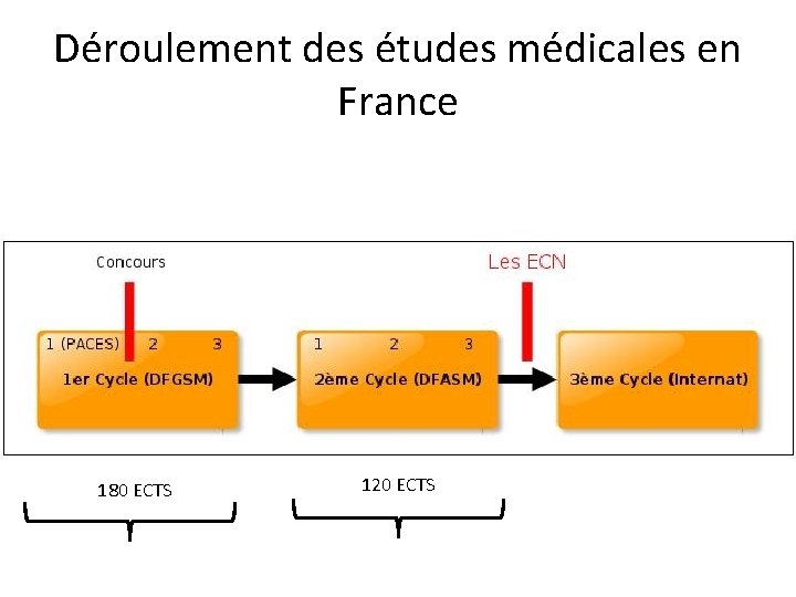 Déroulement des études médicales en France 180 ECTS 120 ECTS 