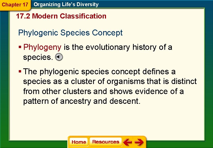 Chapter 17 Organizing Life’s Diversity 17. 2 Modern Classification Phylogenic Species Concept § Phylogeny