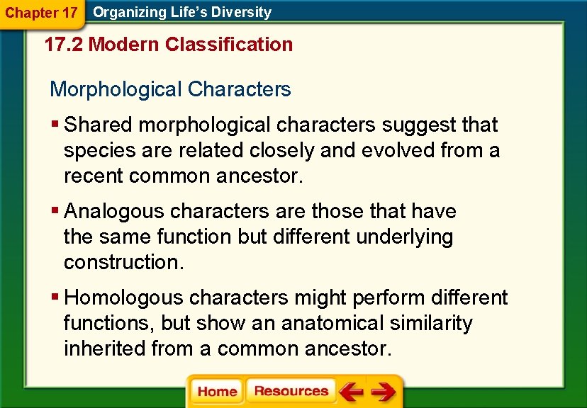Chapter 17 Organizing Life’s Diversity 17. 2 Modern Classification Morphological Characters § Shared morphological Chapter 17 Organizing Life’s Diversity 17. 2 Modern Classification Morphological Characters § Shared morphological