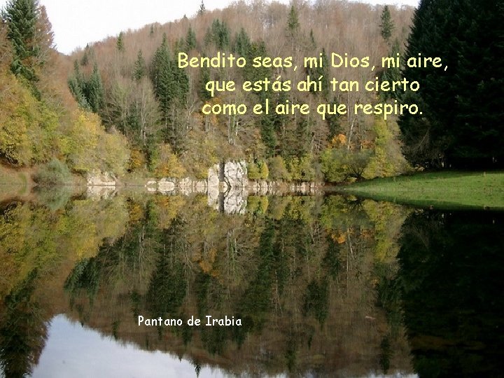 Bendito seas, mi Dios, mi aire, que estás ahí tan cierto como el aire