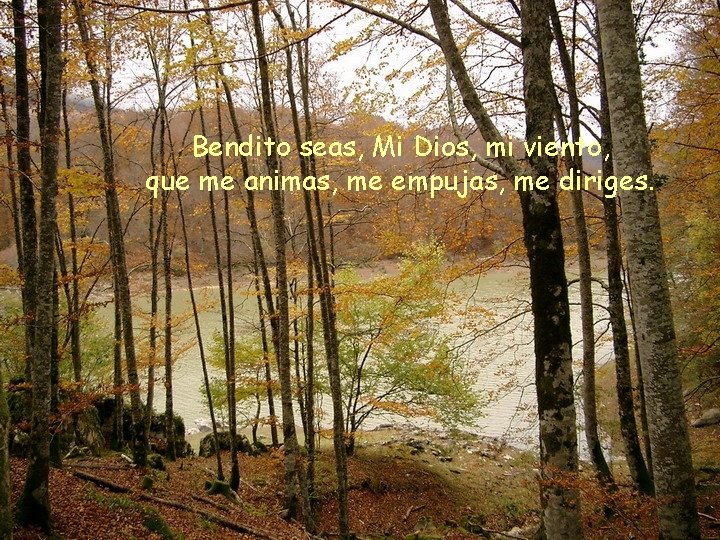 Bendito seas, Mi Dios, mi viento, que me animas, me empujas, me diriges. 