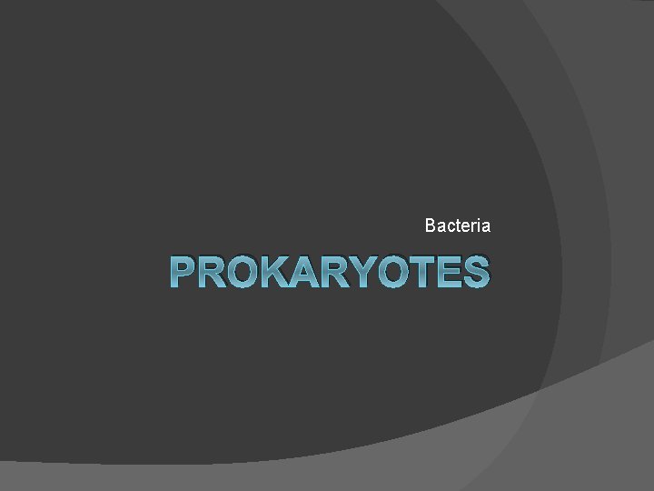 Bacteria PROKARYOTES 