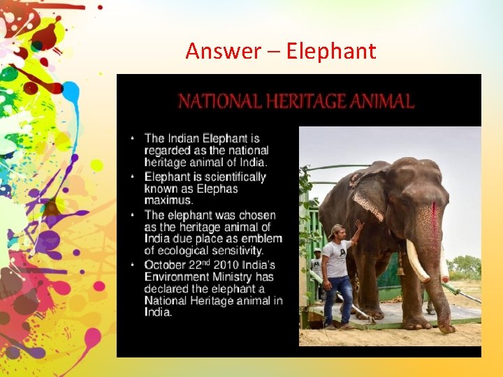 Answer – Elephant 