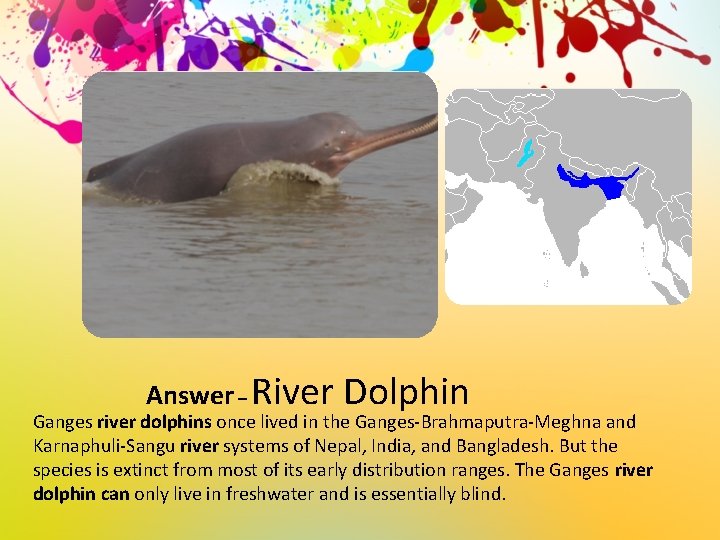 Answer – River Dolphin Ganges river dolphins once lived in the Ganges-Brahmaputra-Meghna and Karnaphuli-Sangu
