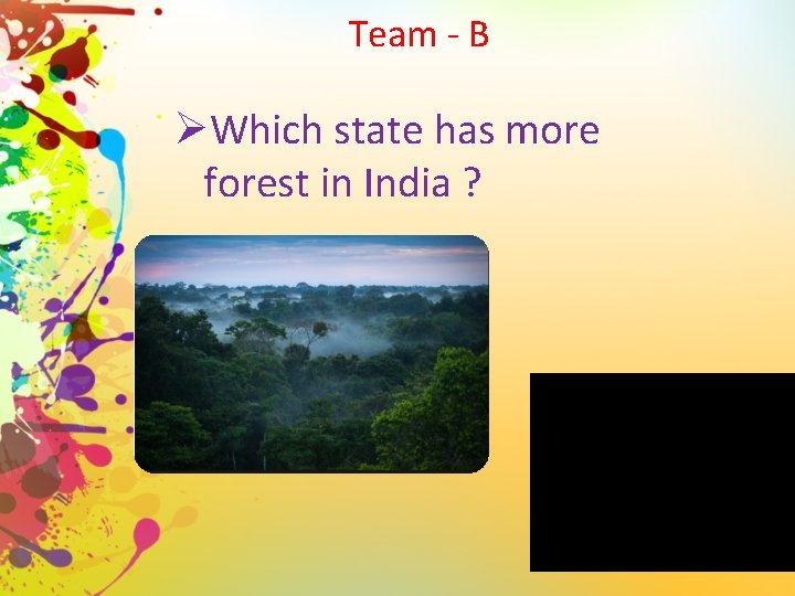 Team - B ØWhich state has more forest in India ? 