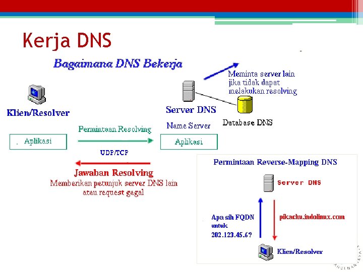 Kerja DNS 