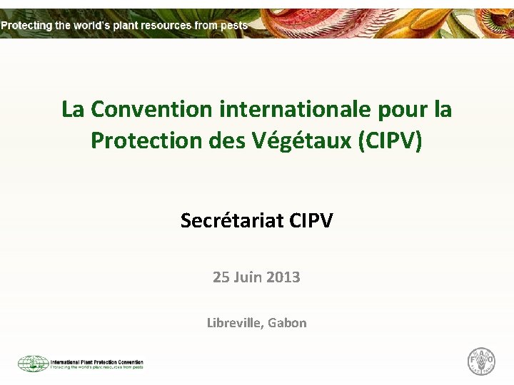 La Convention internationale pour la Protection des Végétaux (CIPV) Secrétariat CIPV 25 Juin 2013