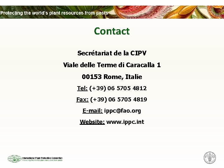 Contact Secrétariat de la CIPV Viale delle Terme di Caracalla 1 00153 Rome, Italie