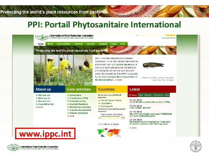 PPI: Portail Phytosanitaire International www. ippc. int 