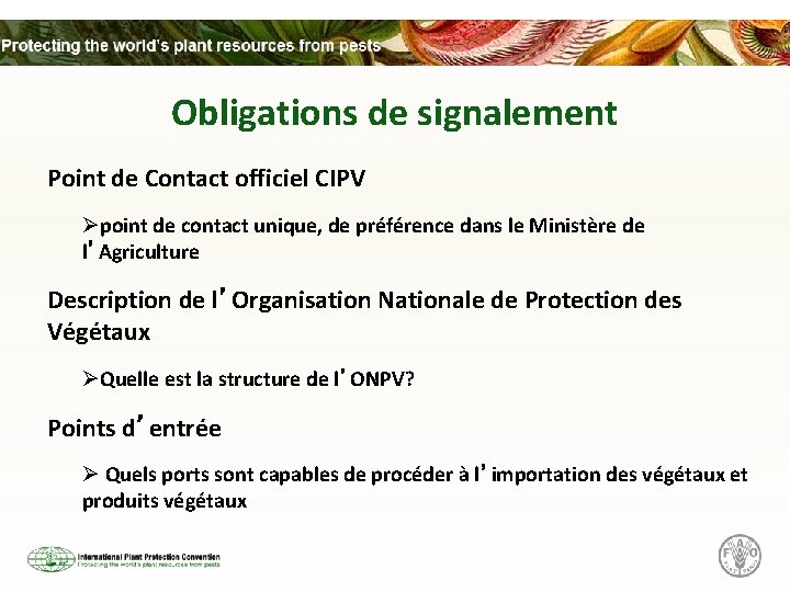 Obligations de signalement Point de Contact officiel CIPV Øpoint de contact unique, de préférence