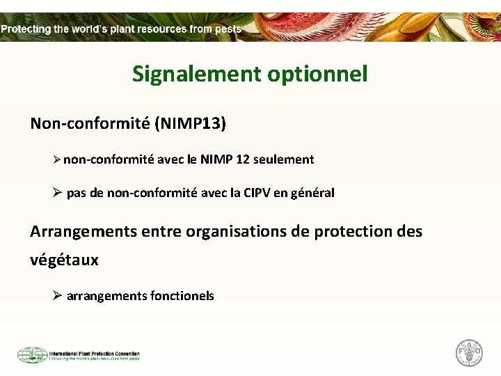 Signalement optionnel Non-conformité (NIMP 13) Ø non-conformité avec le NIMP 12 seulement Ø pas