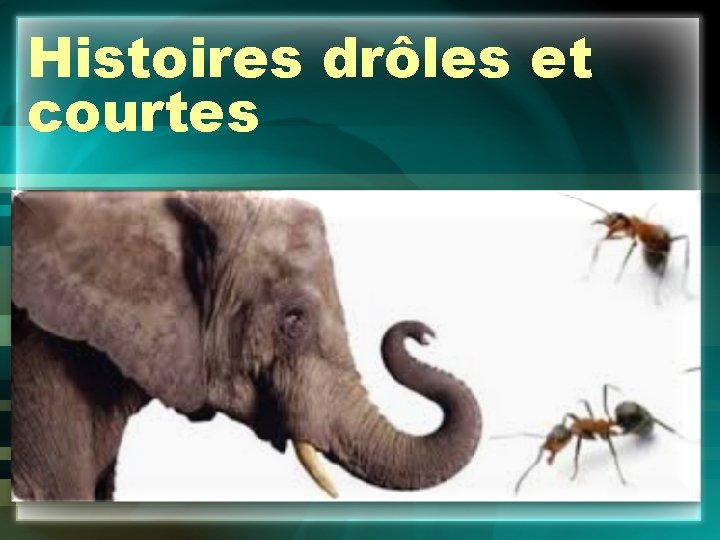 Histoires drôles et courtes 