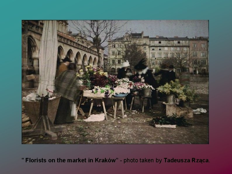 '' Florists on the market in Kraków'' - photo taken by Tadeusza Rząca. 