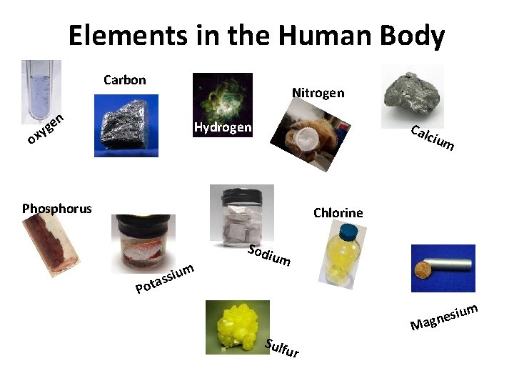 Elements in the Human Body Carbon ox Nitrogen n e yg Hydrogen Cal cium