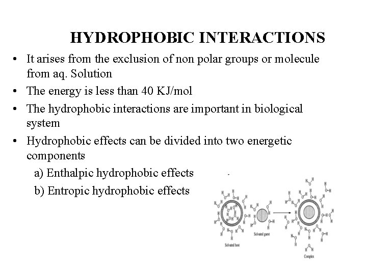 HYDROPHOBIC INTERACTIONS • It arises from the exclusion of non polar groups or molecule