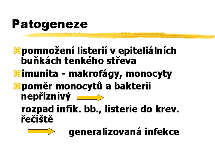 Patogeneze zpomnožení listerií v epiteliálních buňkách tenkého střeva zimunita - makrofágy, monocyty zpoměr monocytů