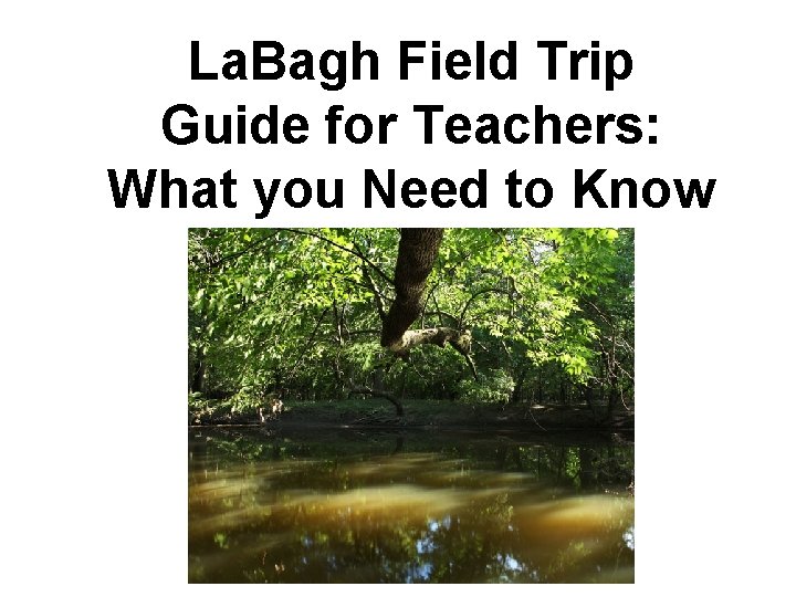 La. Bagh Field Trip Guide for Teachers: What you Need to Know 