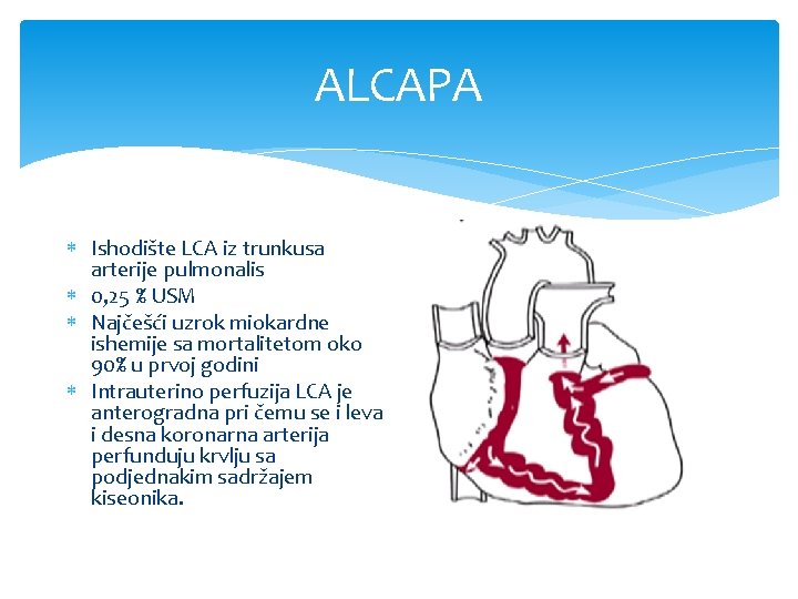 ALCAPA Ishodište LCA iz trunkusa arterije pulmonalis 0, 25 % USM Najčešći uzrok miokardne